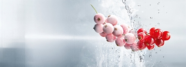 Currants frozen with CRYOLINE technology.
